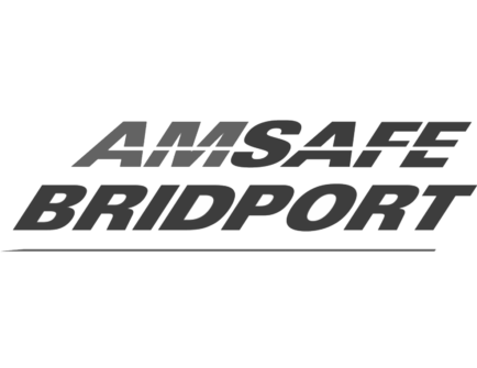Amsafe Bridport